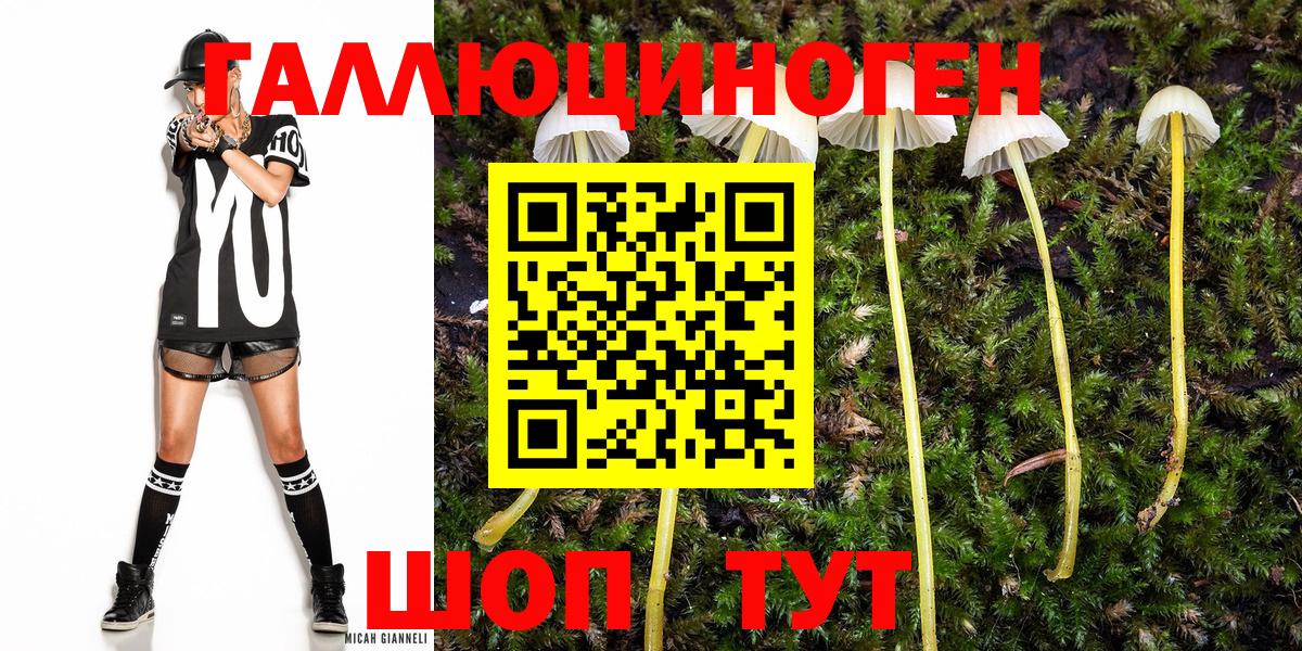 Елец  Псилоцибиновые грибы ЛСД  Галлюциногенные грибы мицелий  Вход с VPN 