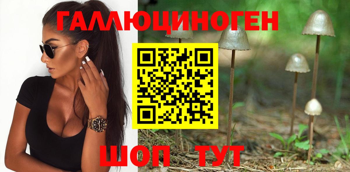 Галлюциногенные грибы мухоморы Елец
